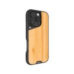 IPhone 16 Pro max case